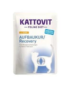 Levně Kattovit Cat Recovery kuře kapsa 85g