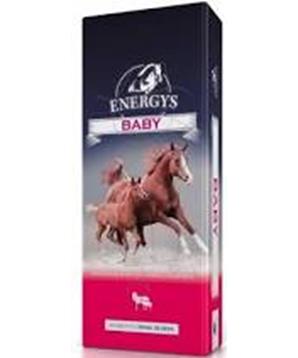 Levně Krmivo koně ENERGY´S Baby gra 25 kg