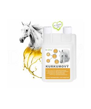 Levně Dromy Kurkumový sirup 1000 ml