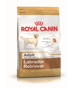 ROYAL CANIN Labrador Retriever Adult