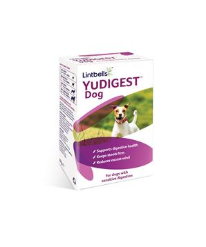 Levně Lintbells YuDIGEST 120 žvýkacích tablet