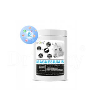 Levně Dromy Magnesium B 1 kg