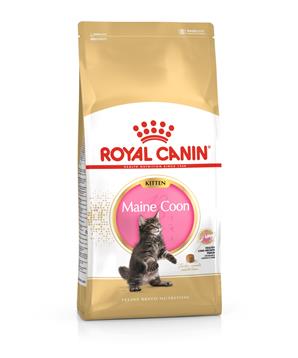 Levně ROYAL CANIN Maine Coon Kitten 10 kg