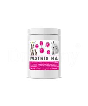 Dromy Matrix HA