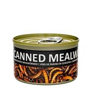 Levně Mouční červi, konzerva 35g