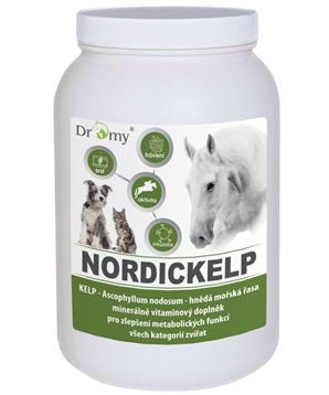 Dromy NordicKelp