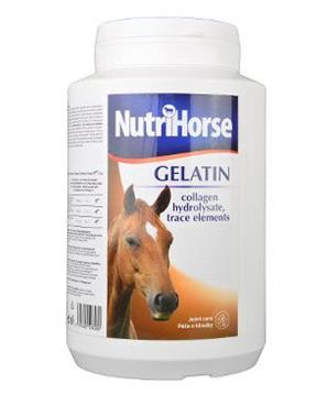 Nutri Horse Gelatin (Gel)