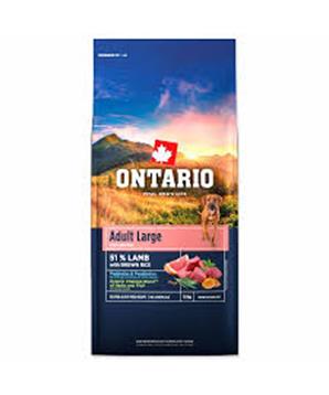 Levně Ontario Adult Large Lamb & Brown Rice 12 kg
