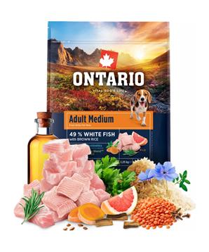 Levně Ontario Adult Medium Fish & Brown Rice 12kg