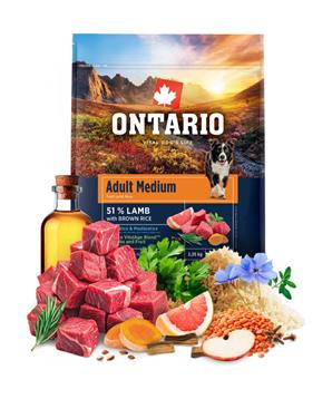 Levně Ontario Adult Medium Lamb & Brown Rice 12kg