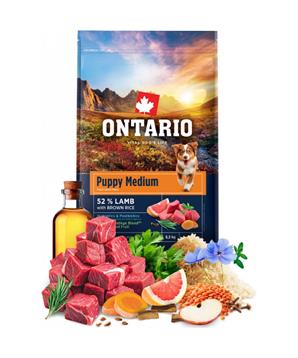 Levně Ontario Puppy Medium Lamb & Brown Rice 2,25kg