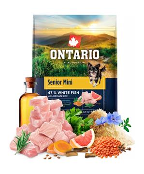 Levně Ontario Senior Mini Fish & Brown Rice 2,25kg