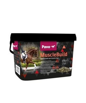 PAVO Muscle Build 3kg