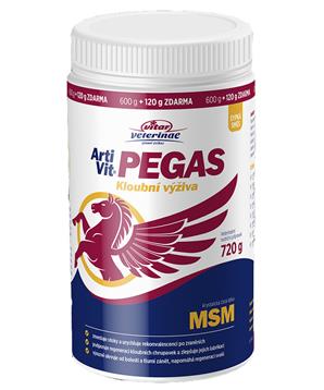 Levně ArtiVit Pegas MSM 3 + 1 + šumivý vitamín C