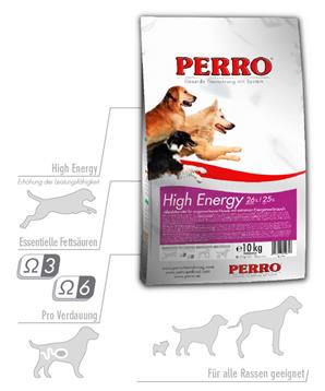 Perro HIGH ENERGY