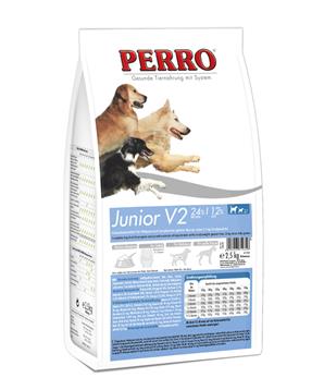 Perro JUNIOR V2