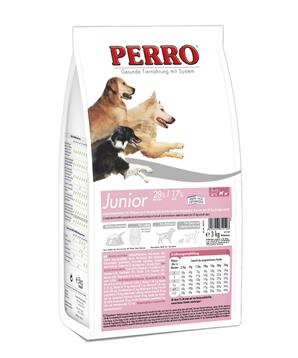 Perro JUNIOR