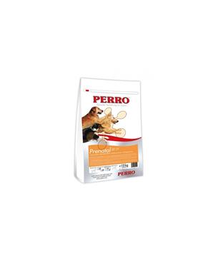 Perro PRENATAL
