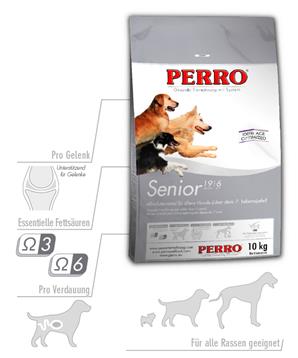 Perro SENIOR