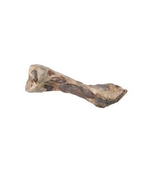 Levně Pochoutka pes kost od šunky 1ks/24cm