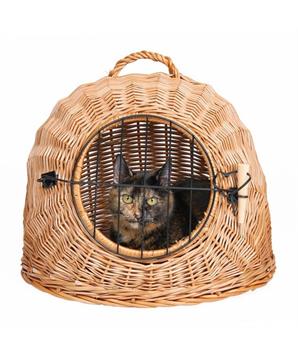 Levně Proutěná bouda s kovovými dvířky 50cm