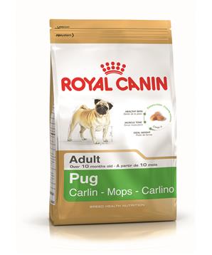 ROYAL CANIN Pug (MOPS) Adult