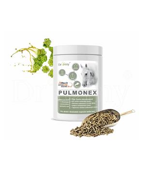 Levně Dromy Pulmonex 1500g