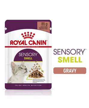 Royal Canin Sensory Smell gravy