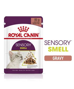 Levně Royal Canin Sensory Smell gravy 12 x 85 g