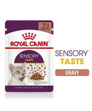 Levně Royal Canin Sensory Taste gravy 12 x 85 g
