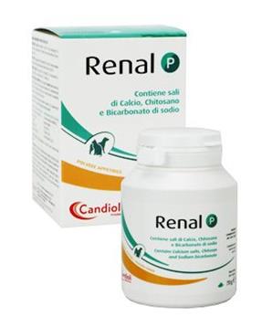 Levně Renal P plv 70g
