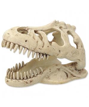 Levně Repti Planet Dekorace T-REX lebka 13,3x8,5x9cm 1 ks