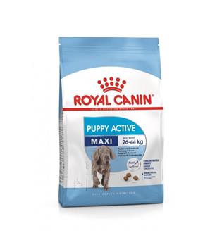ROYAL CANIN Maxi Junior / Puppy Active
