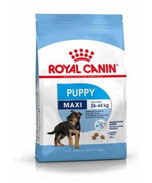 ROYAL CANIN Maxi Junior / Puppy