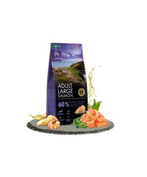 Levně Profine Dog Dry Adult Large Salmon 12 kg