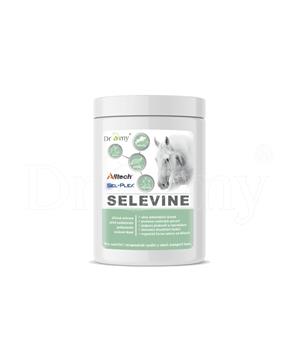 Dromy SELEVINE