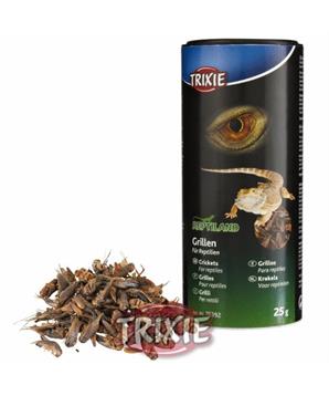 Levně Sušený cvrček 250 ml/25 g