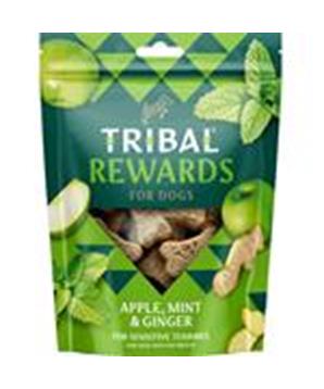 Levně TRIBAL Rewards Snack Apple, Mint & Ginger 125 g