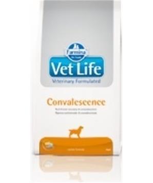 Vet Life DOG Convalescence