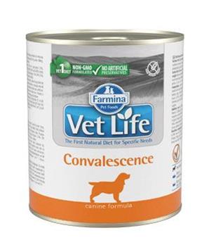 Levně Vet Life Natural Dog konz. Convalescence 300g