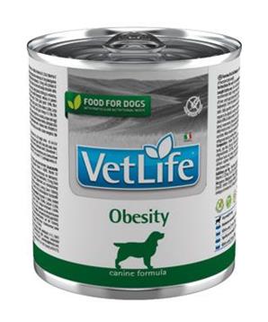 Levně Vet Life Natural Dog konz. Obesity 300 g