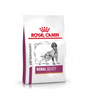 Levně Royal Canin VD Dog Dry Renal Select 10 kg