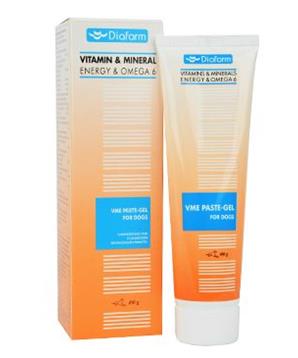 Vitamin/mineral Energy pasta+Omega 6+Taurin pes 100g