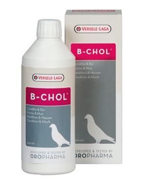 VL Oropharma B-Chol pro holuby