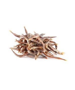 WANT Dog poch. NoodleFish