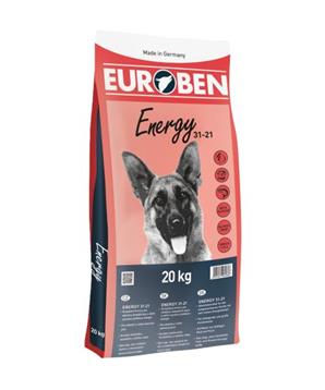 EUROBEN 31-21 Energy