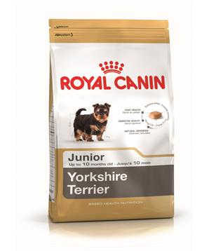 ROYAL CANIN Yorkshire Terrier puppy