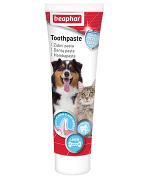 Levně Zubní pasta BEAPHAR Dog-A-Dent játrová 100 g