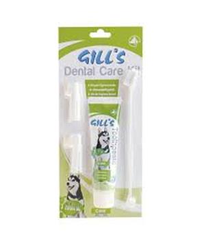 Levně Zubní sada pasta + kartáčky (Gill´s dental care kit) 1 sada