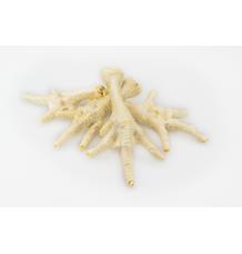 Kuřecí pařát bílý - 50 ks/bal Kuřecí pařát bílý - 50 ks/bal